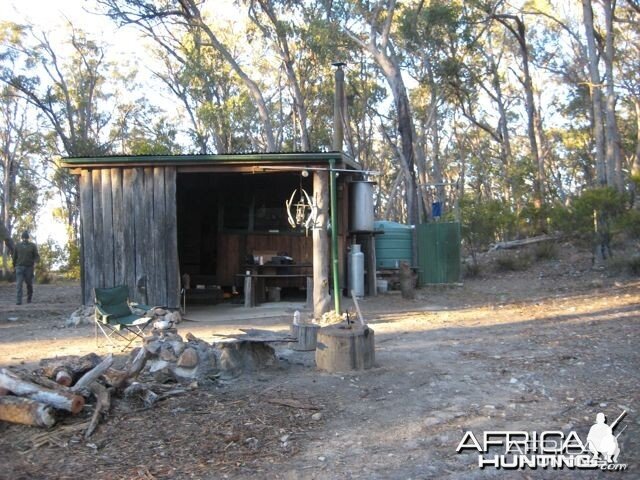 Wild Ram cabin