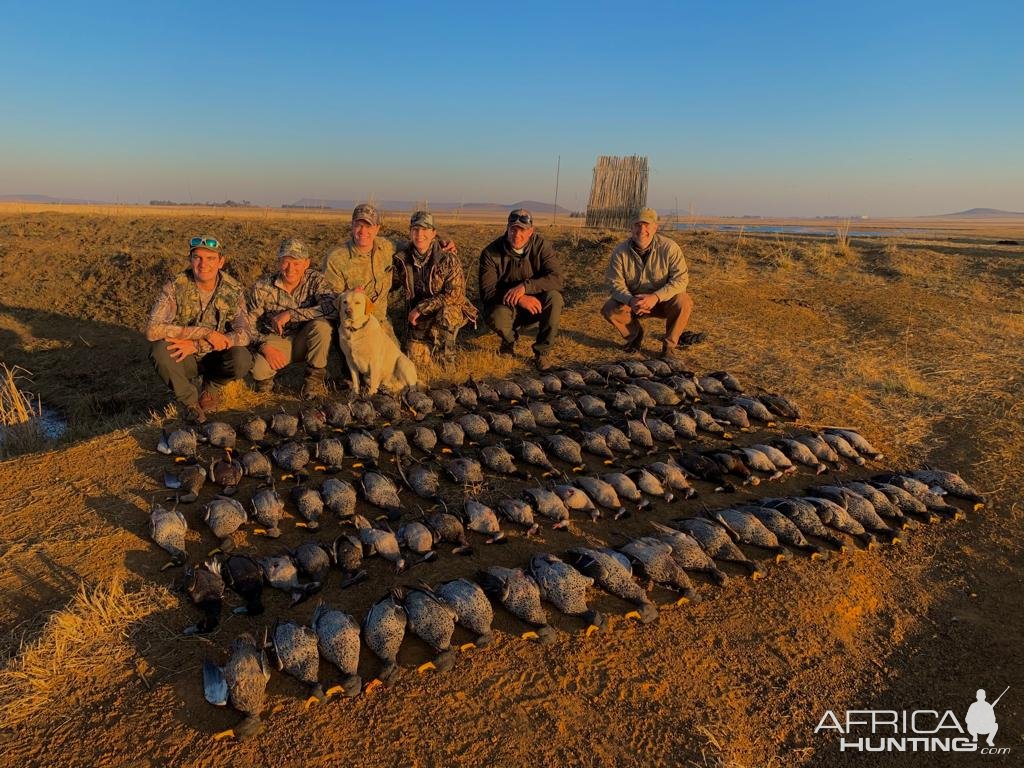 Wild, sustainable bird Hunting Africa