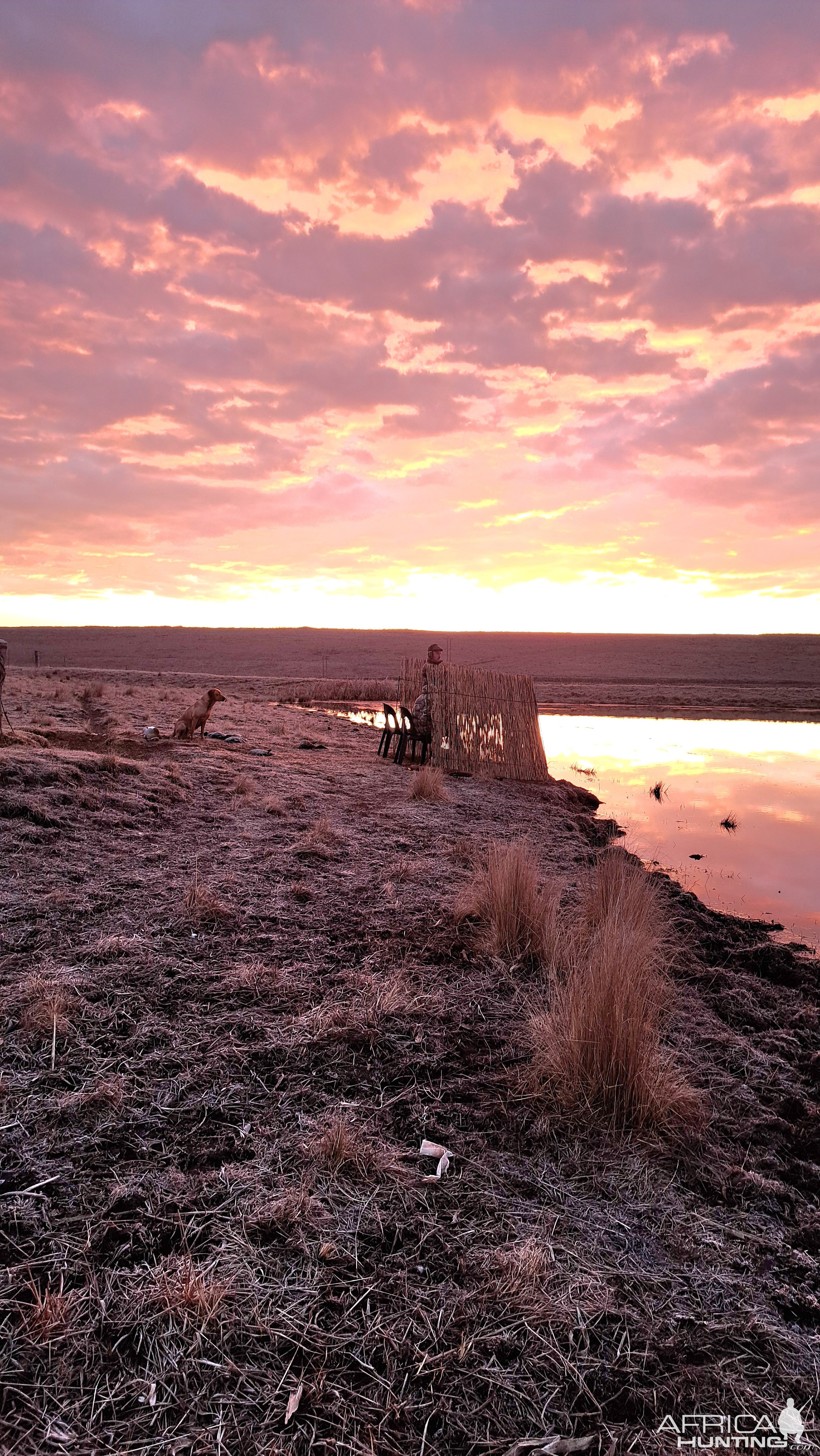 Wild waterfowl shooting South Africa