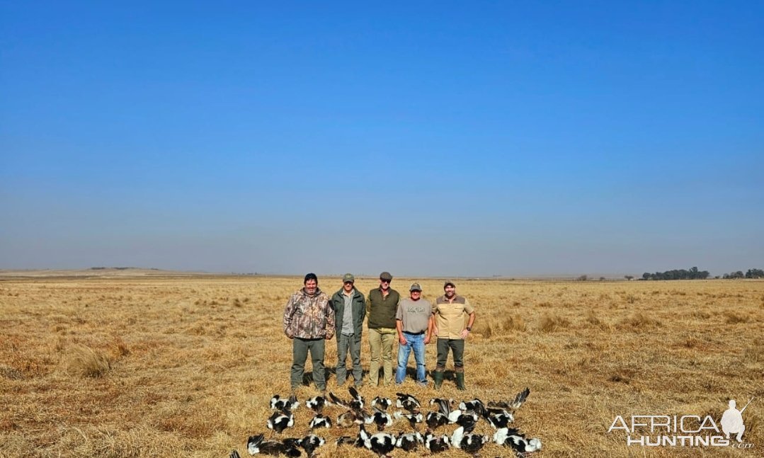 Wild waterfowl shooting South Africa