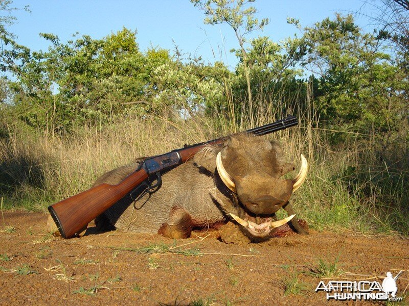 Wild West Warthog