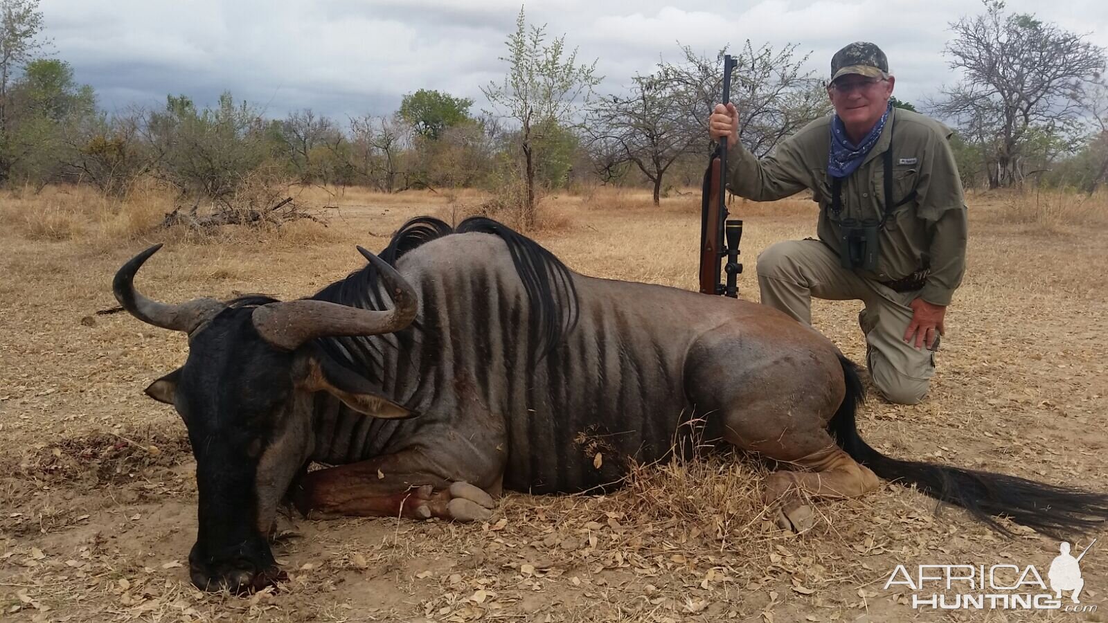 Wildebeest Hunt