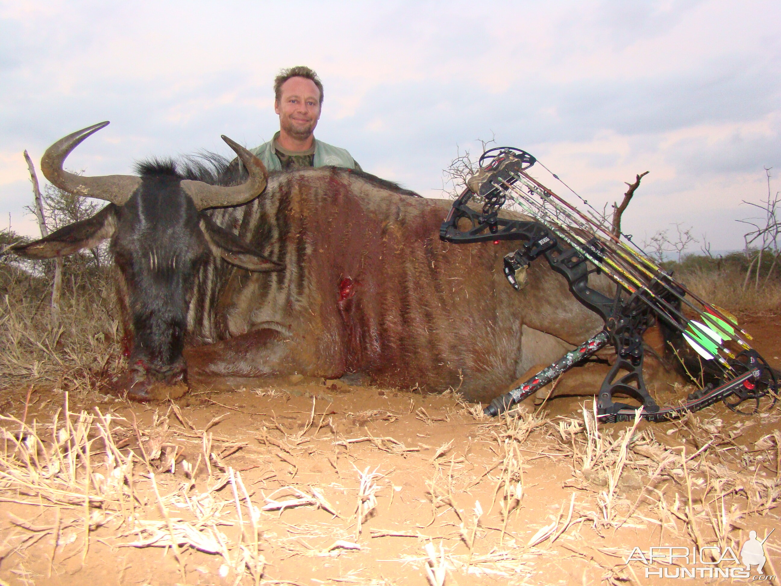 Wildebeest Leeukop Safaris