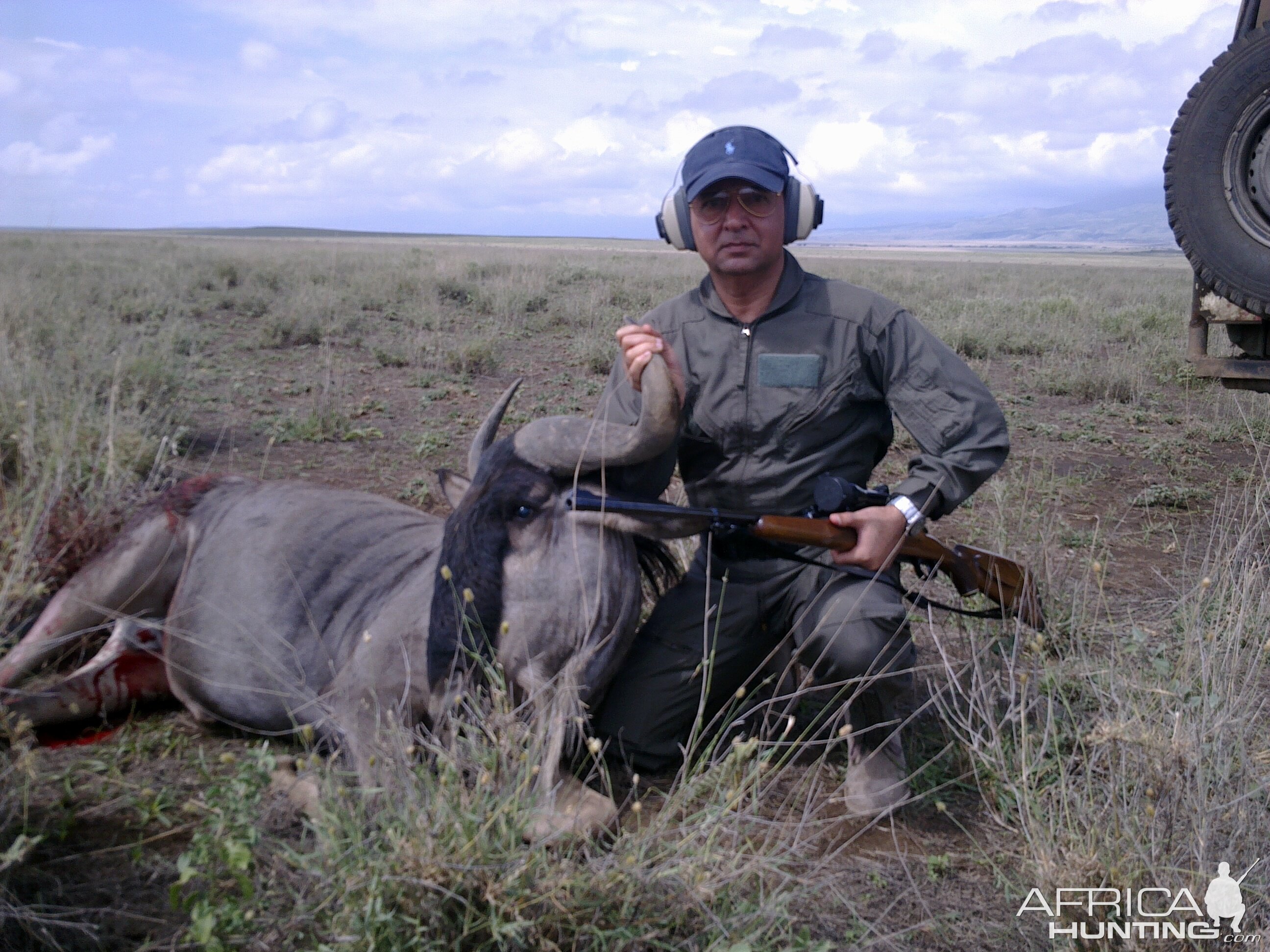 Wildebeest Shot at Masailand, Tanzania