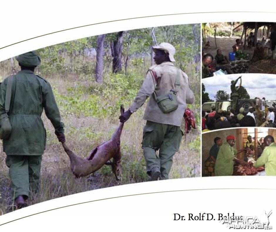 Wildlife Conservation in Africa