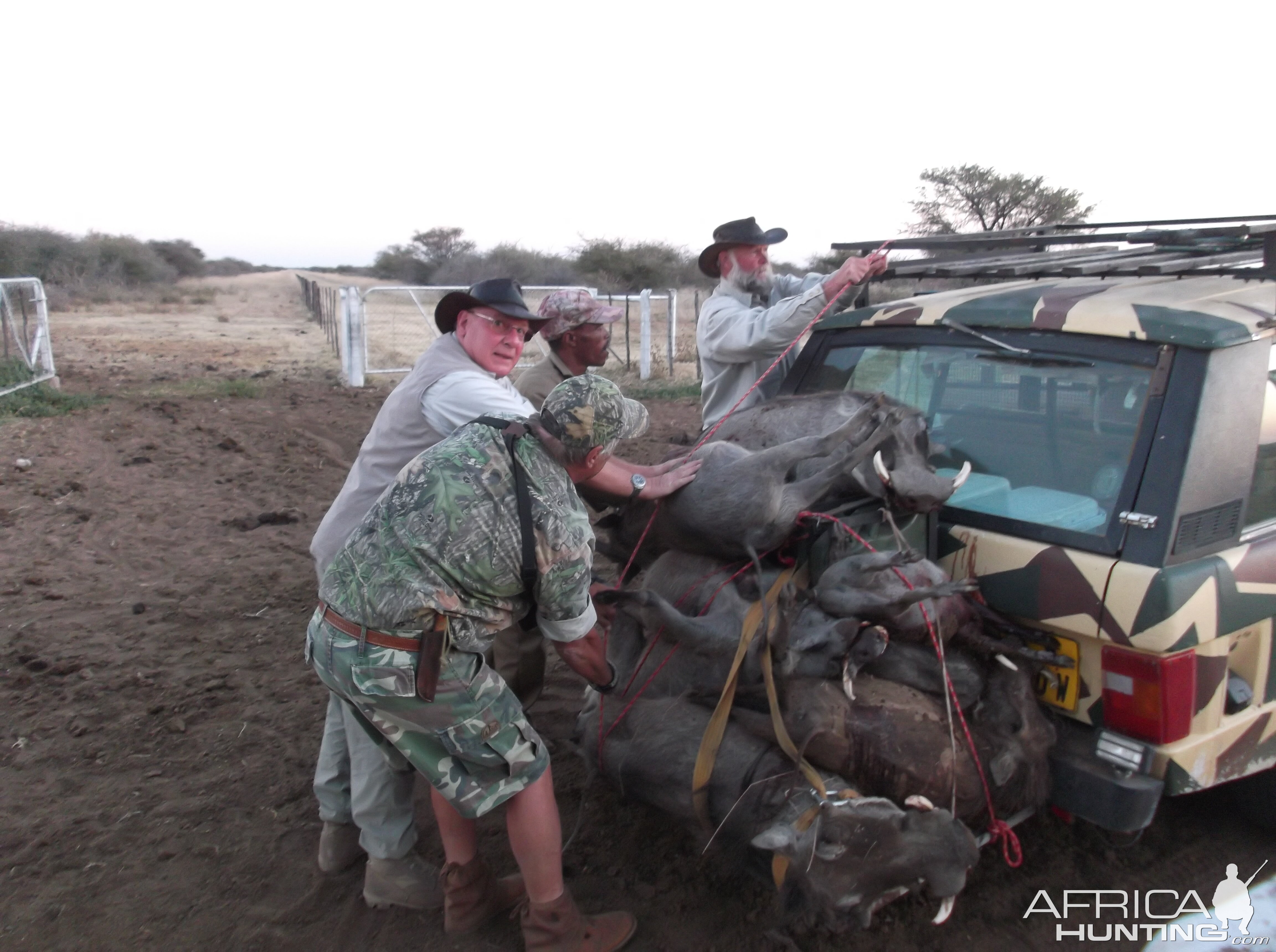 Wildlife Namibia