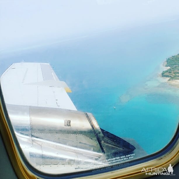 Wildlife View From Airplane