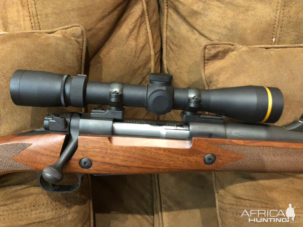 Winchester 70 Safari Express Rifle in 375 H&H with Leupold 2.5-8 VX3 Scope