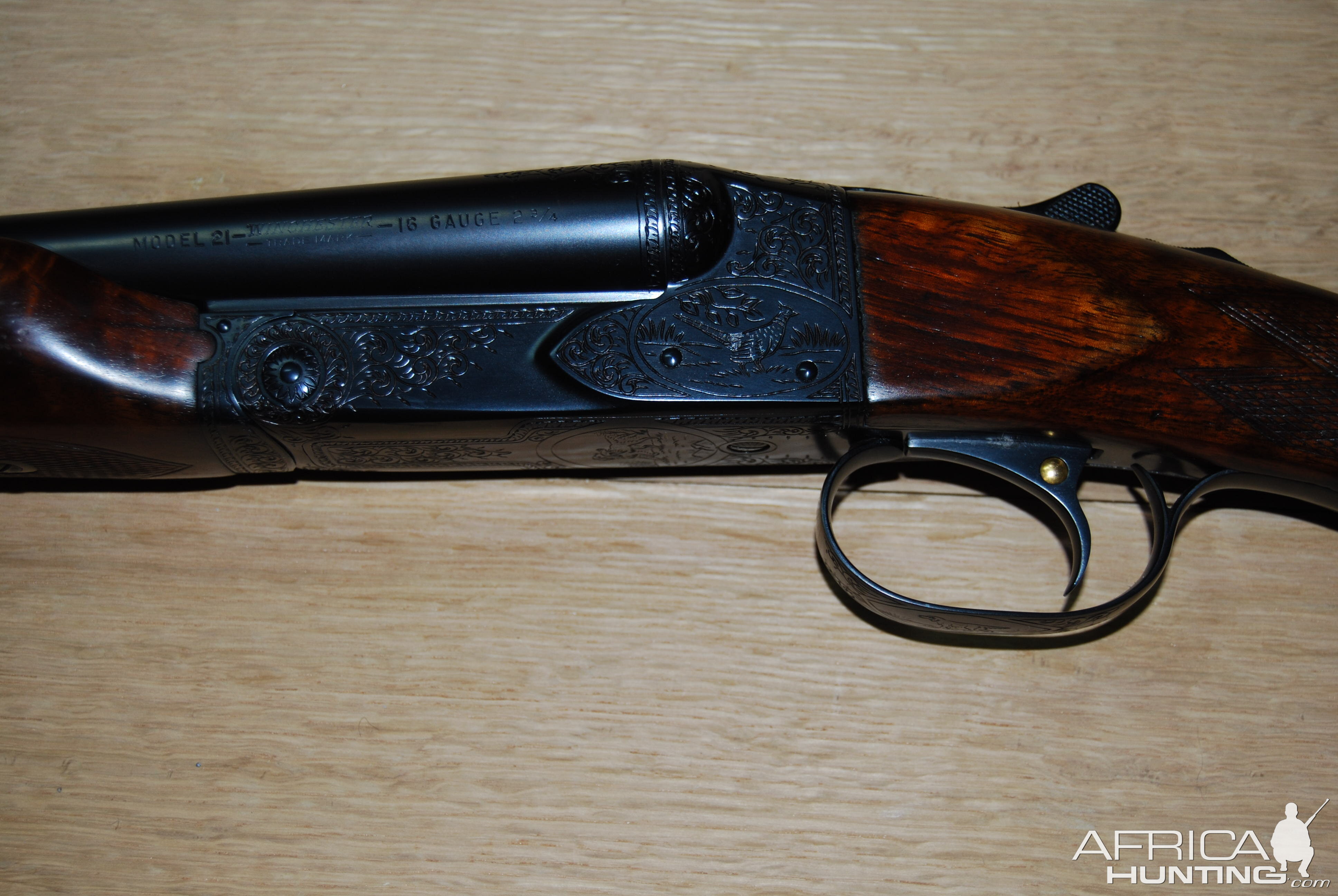 Winchester Model 21 16 Gauge Shotgun