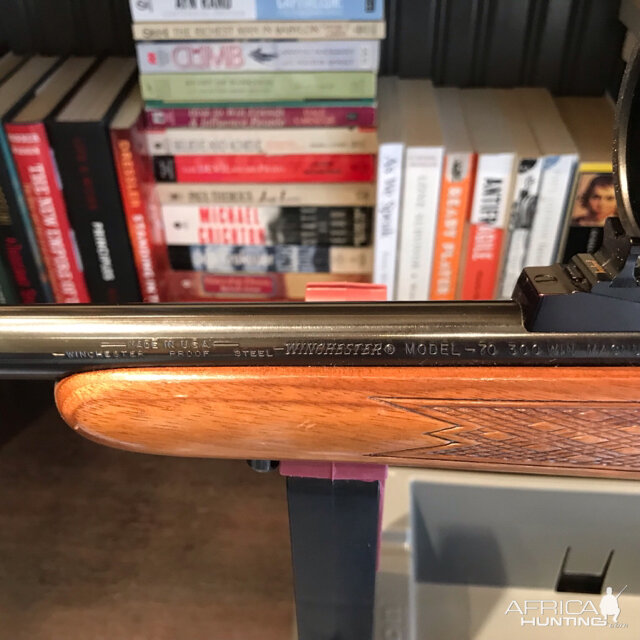 Winchester Model 70 Rifle in .300 Win Mag