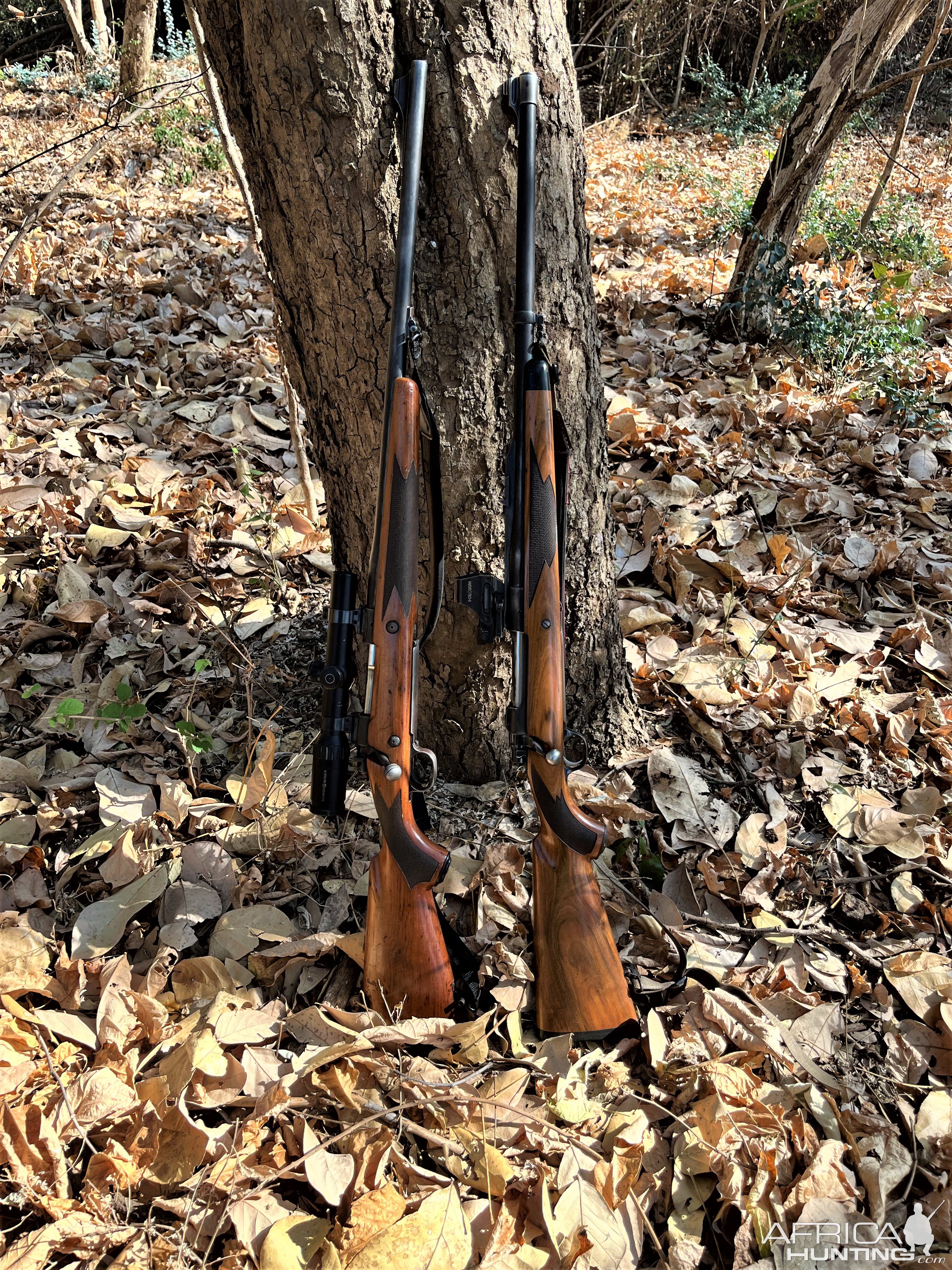 Winchester Safari Model 70 In 375 H&H Rifle