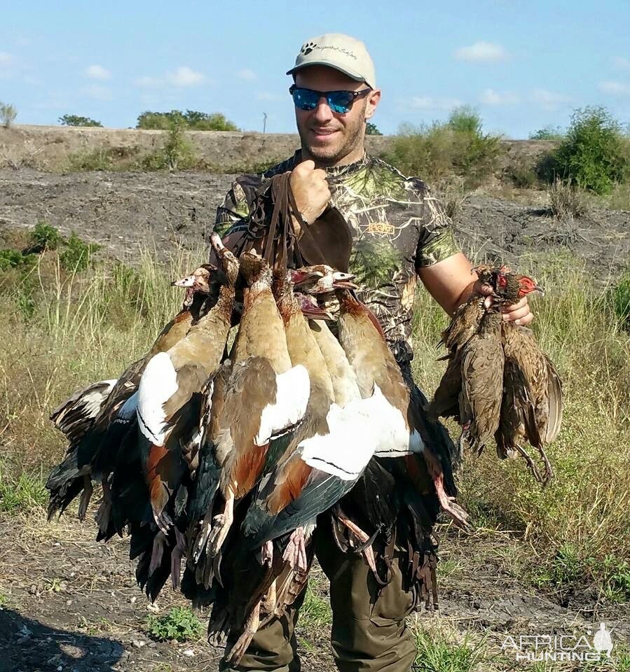 Wing Shooting Geese & Spurfowl South Africa