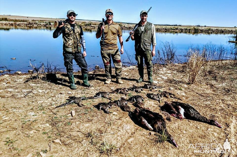 Wing Shooting in South Africa