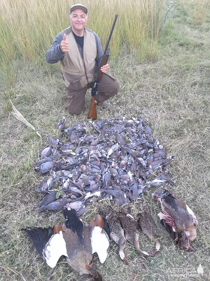 Wing Shooting in South Africa