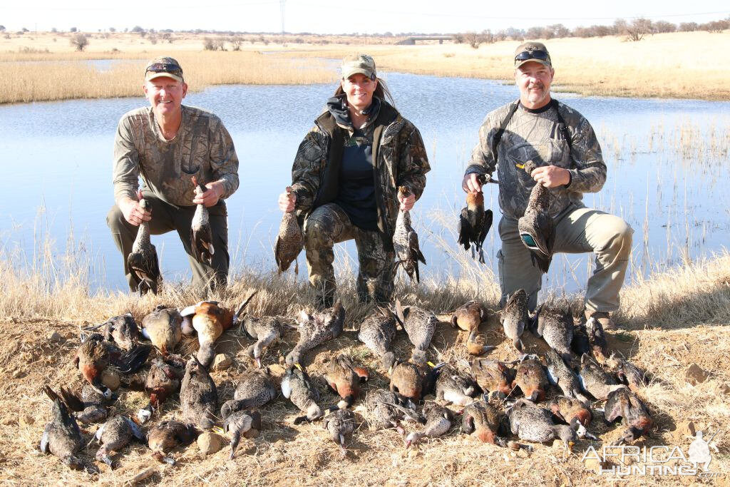 Wing Shooting South Africa Ducks