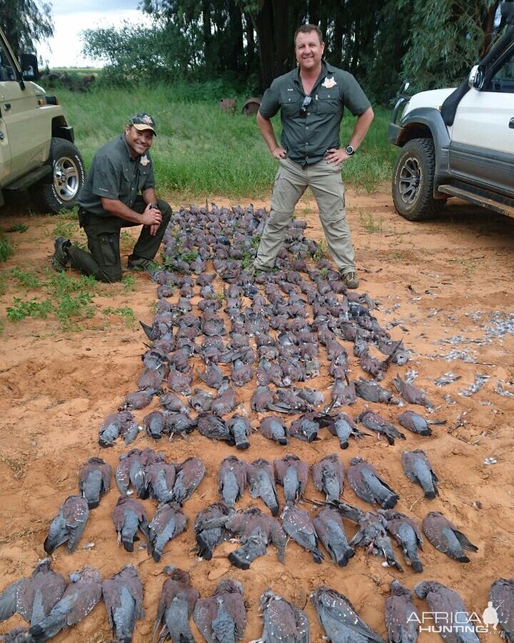 Wing Shooting South Africa