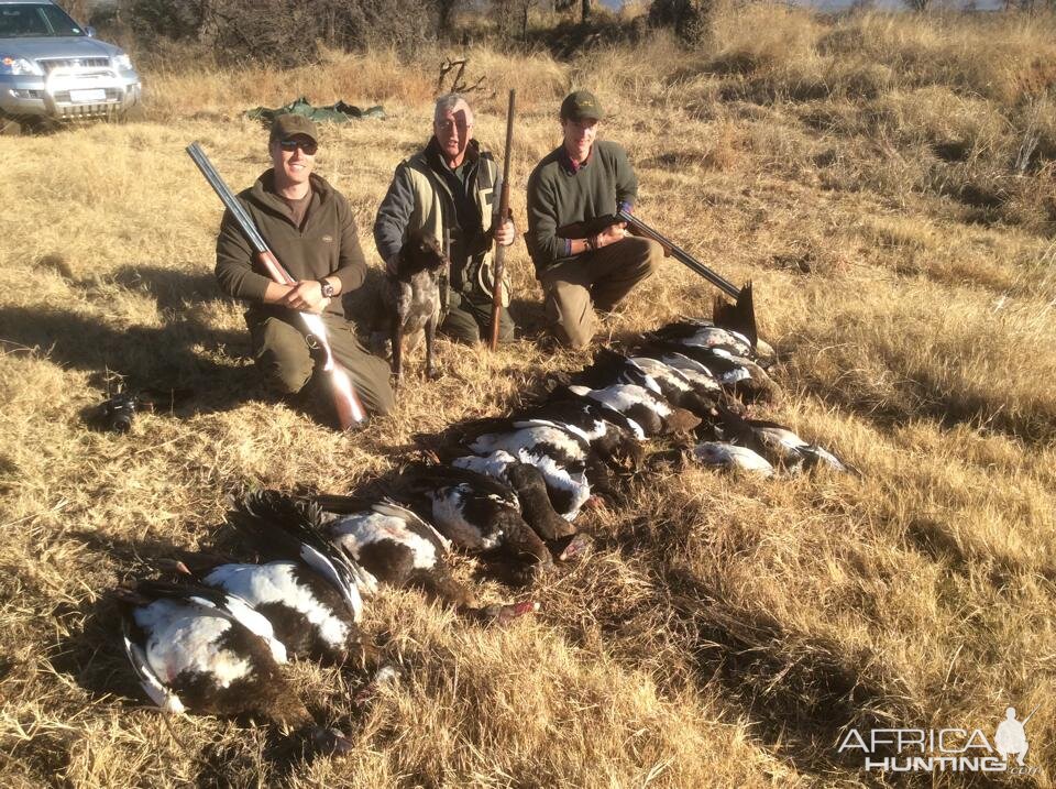 Wing Shooting South Africa