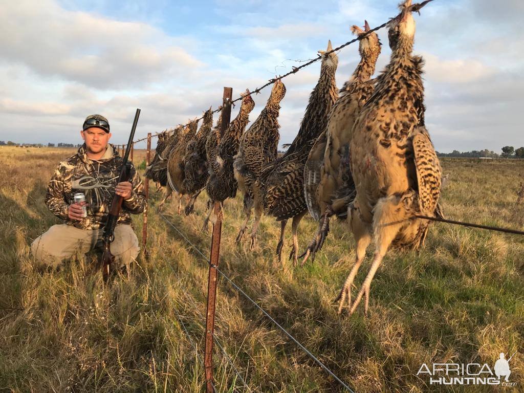 Wingshooting Argentina