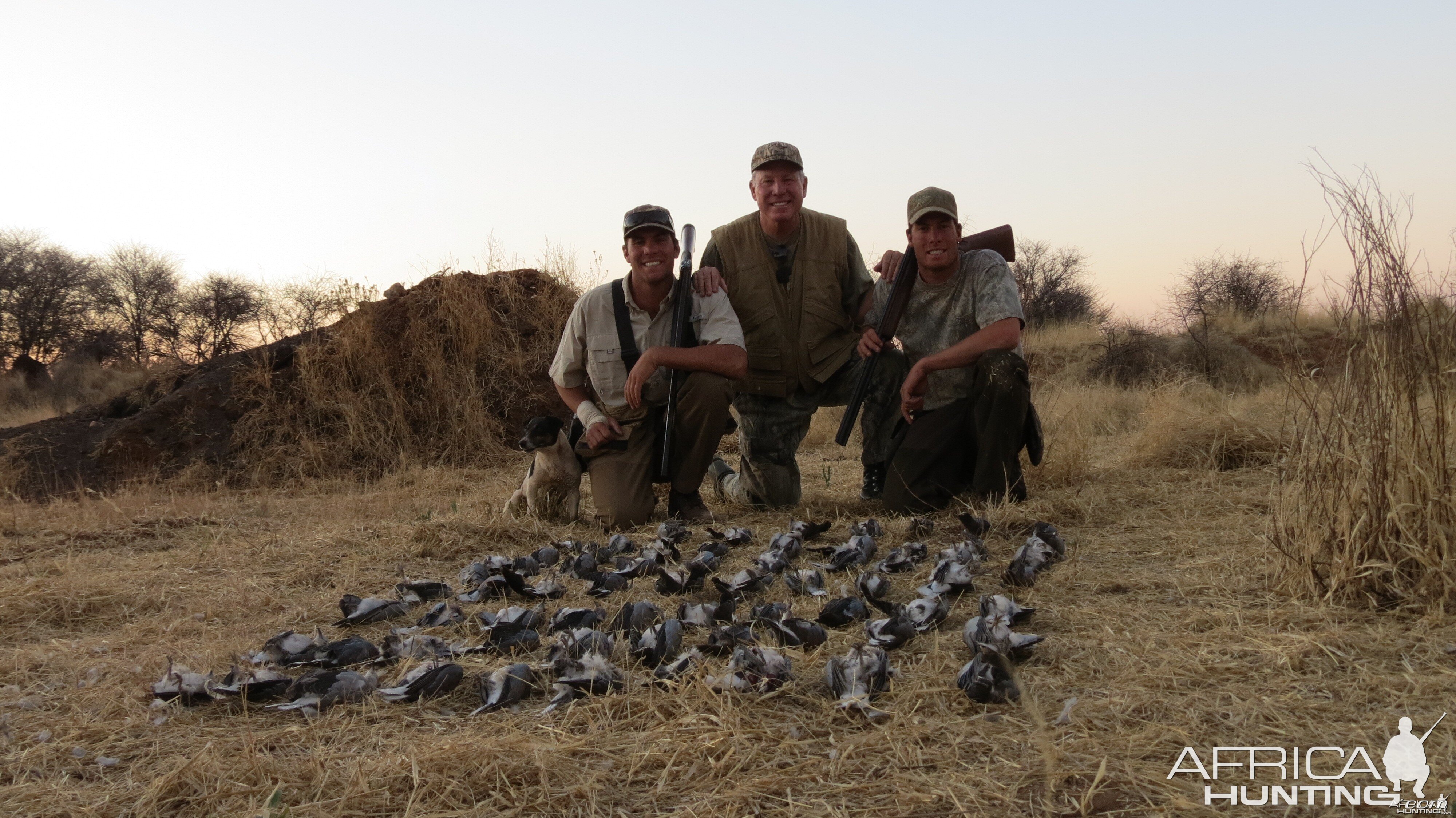 Wingshooting Dove in Namibia