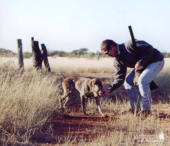 Wingshooting in South Africa