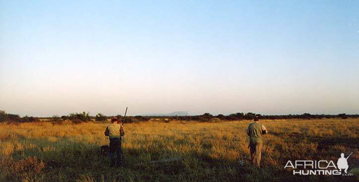 Wingshooting in South Africa