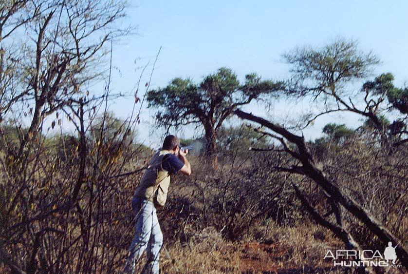 Wingshooting in South Africa