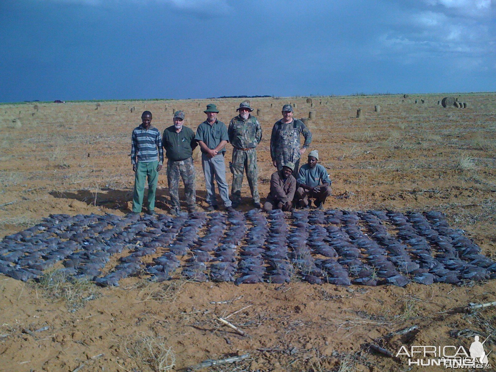 Wingshooting in South Africa