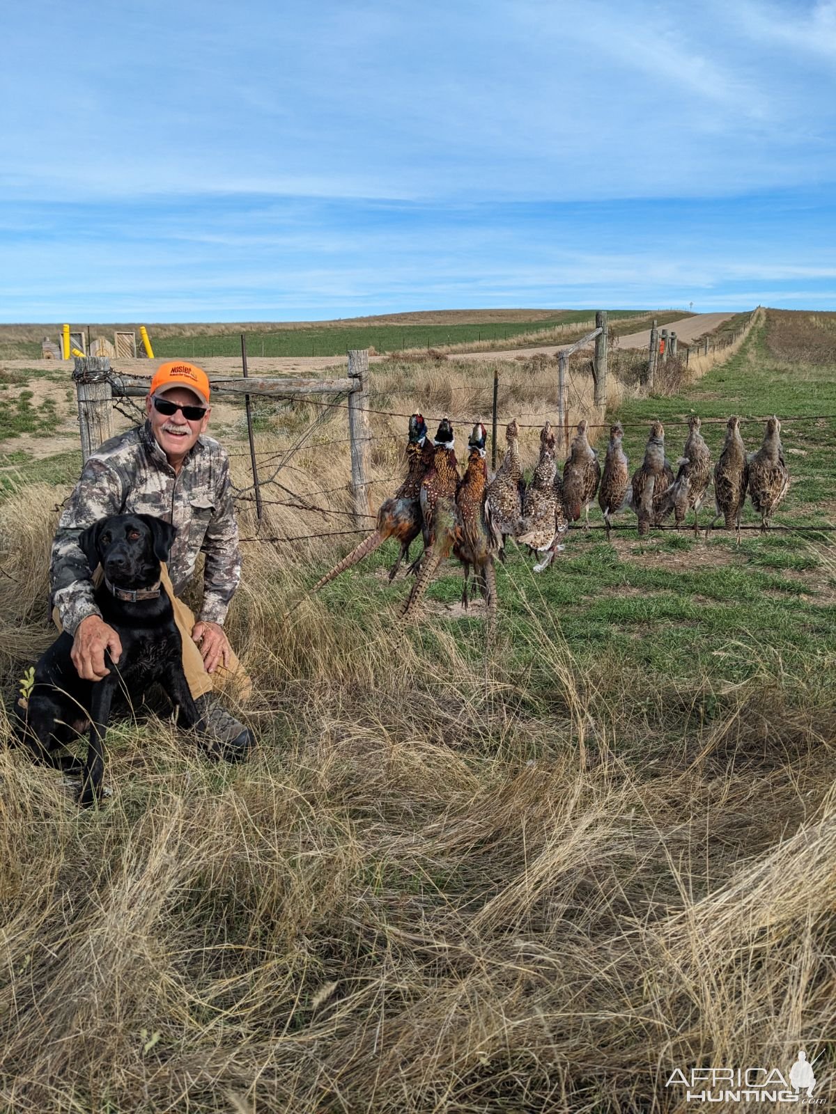 Wingshooting North Dakota