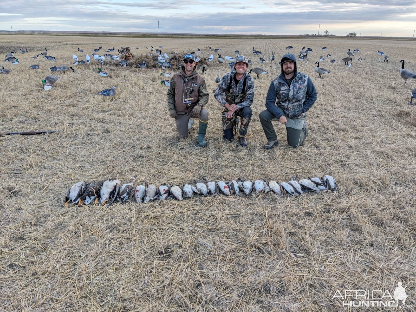 Wingshooting North Dakota