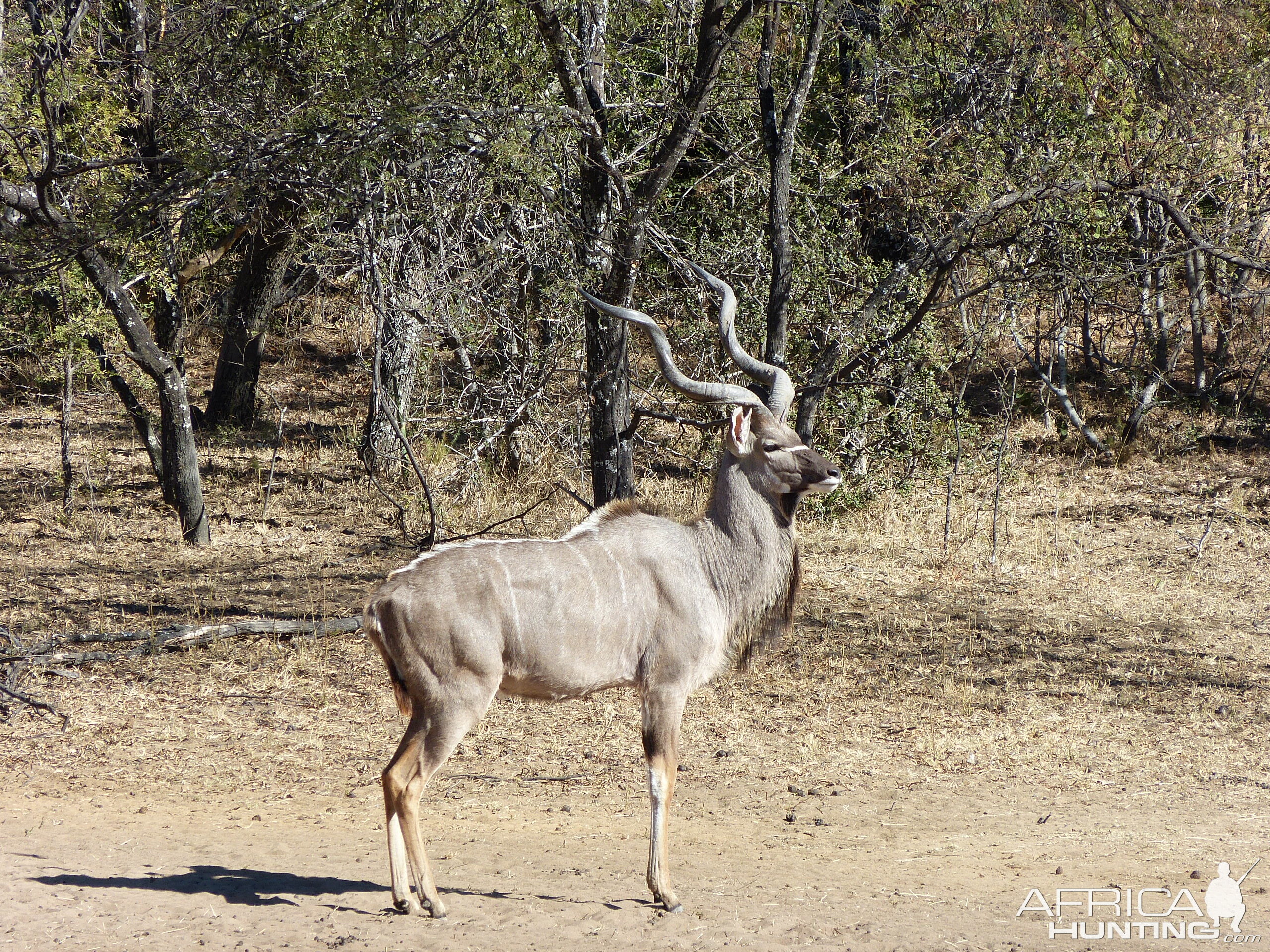 Witfontein 2019