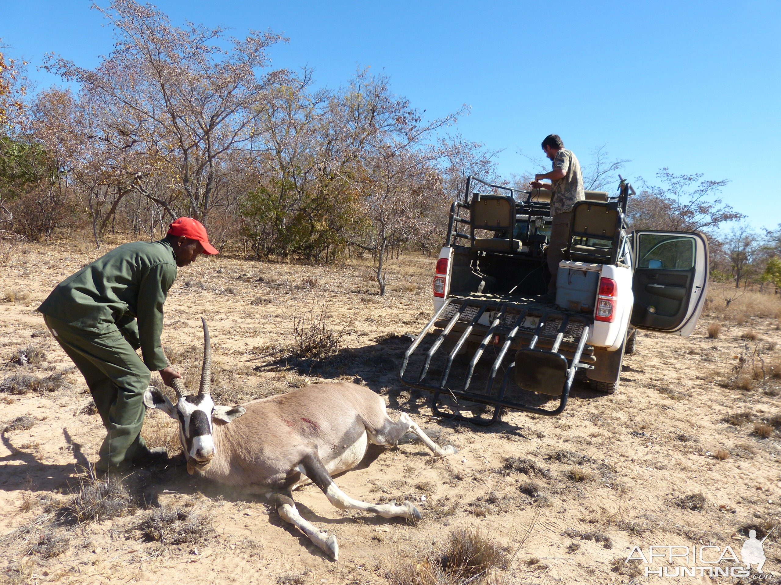 Witfontein 2019