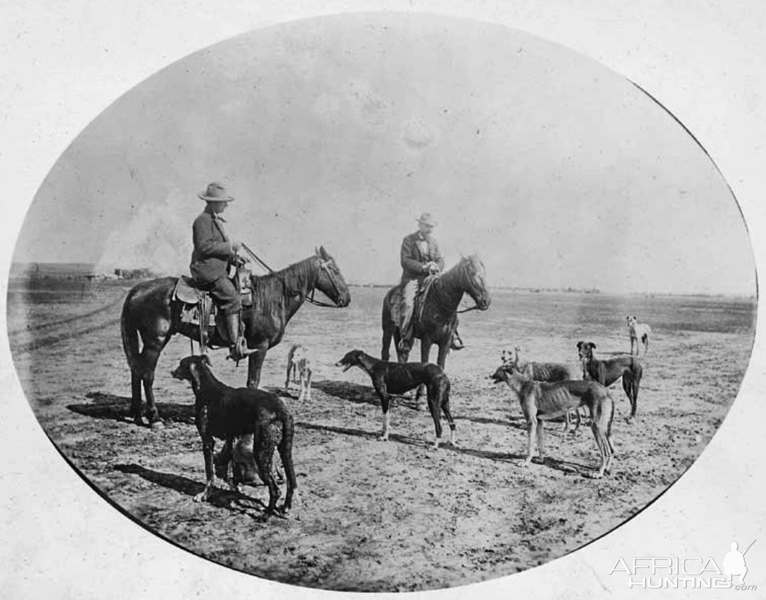 Wolf Hunting Kansas USA