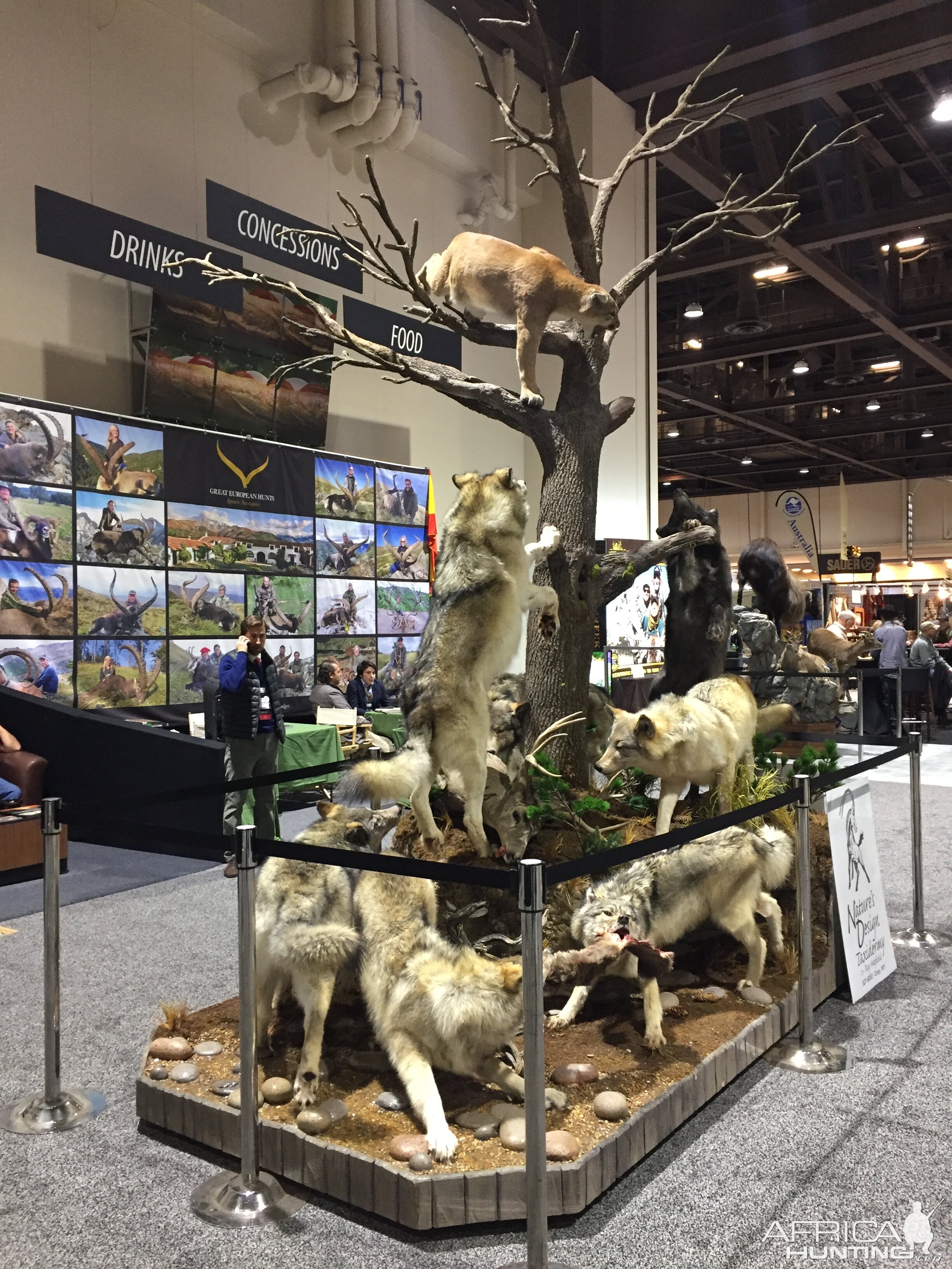 Wolves Scene Full Mount Taxidermy