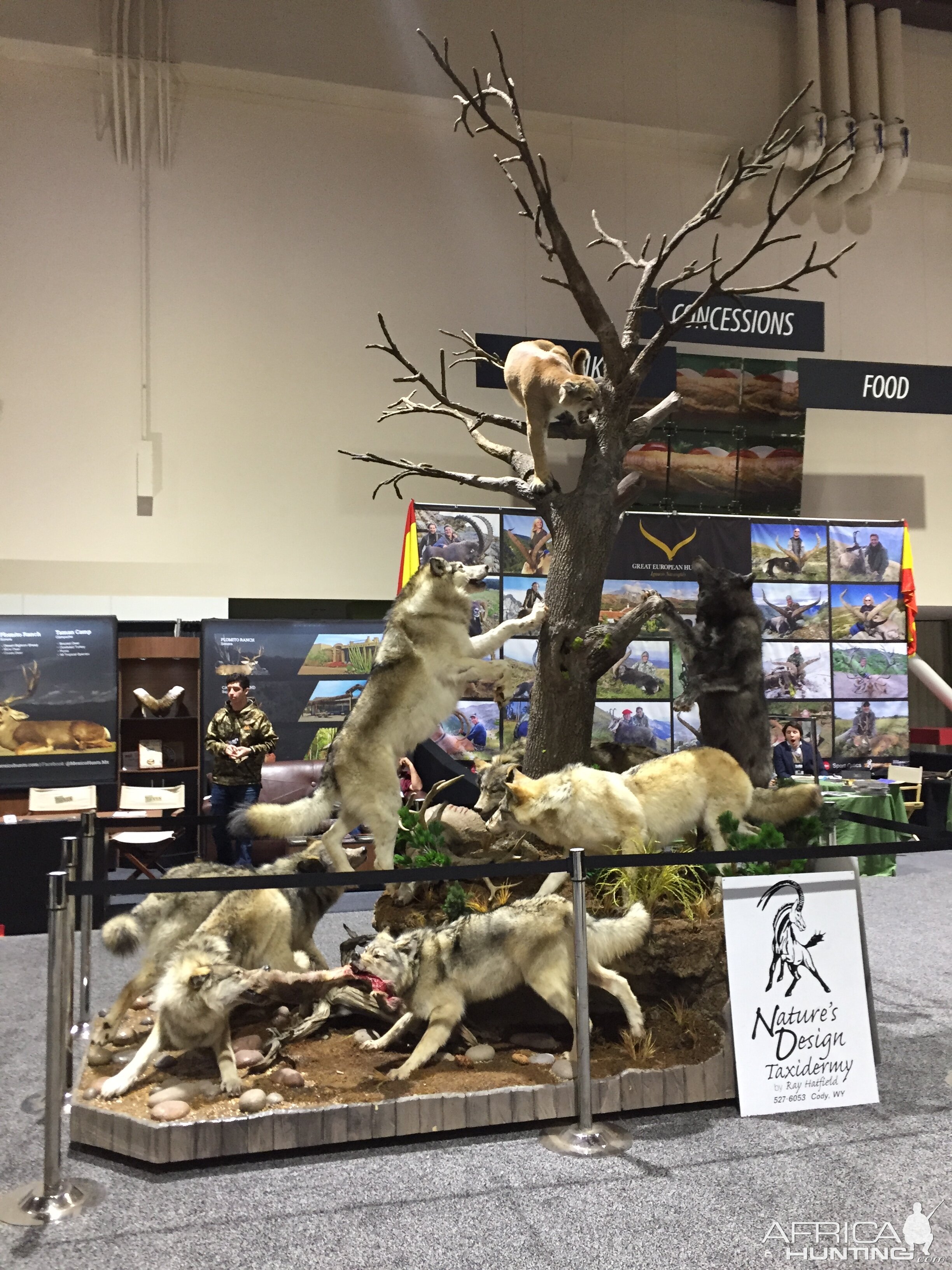 Wolves Scene Full Mount Taxidermy