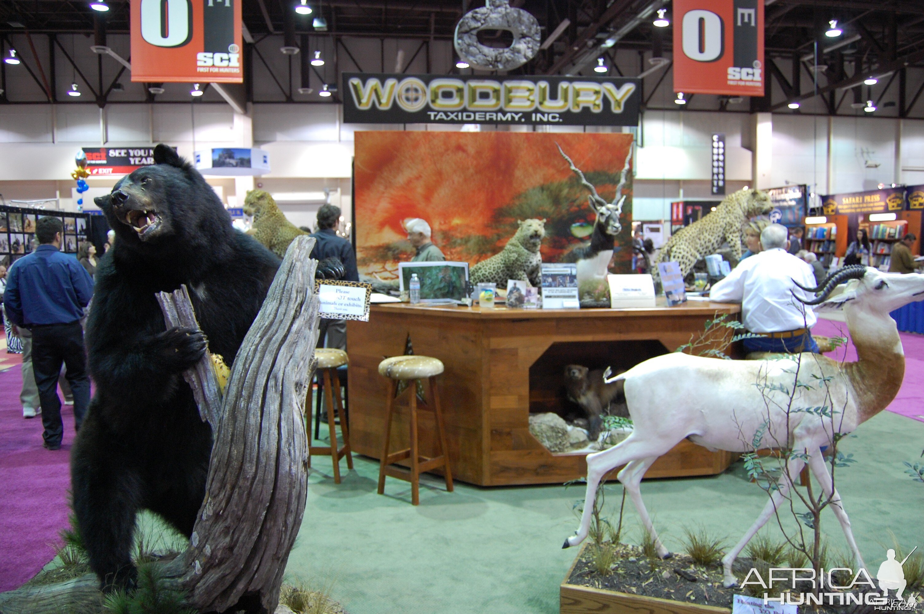 Woodbury Taxidermy