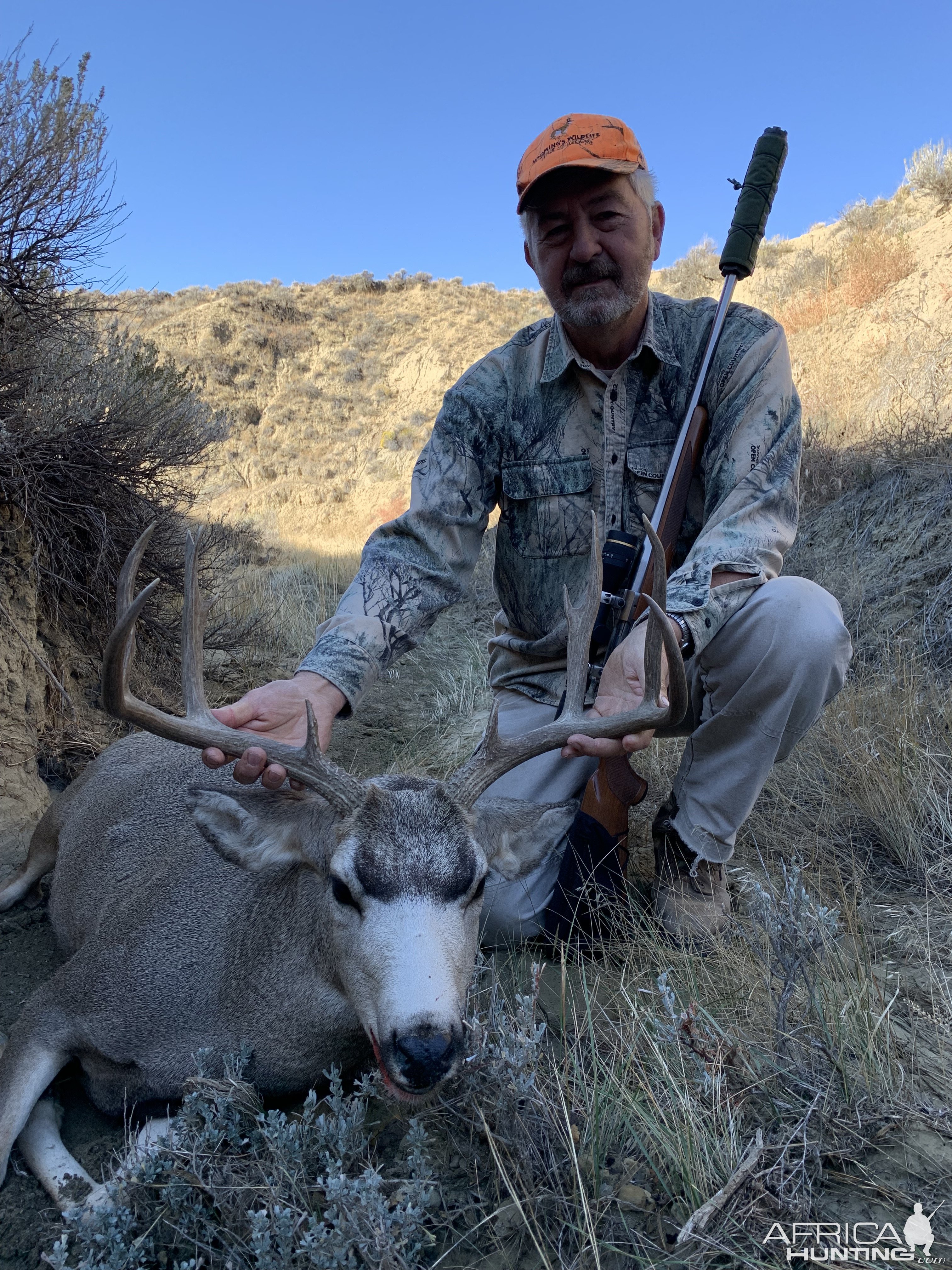 WY mule deer