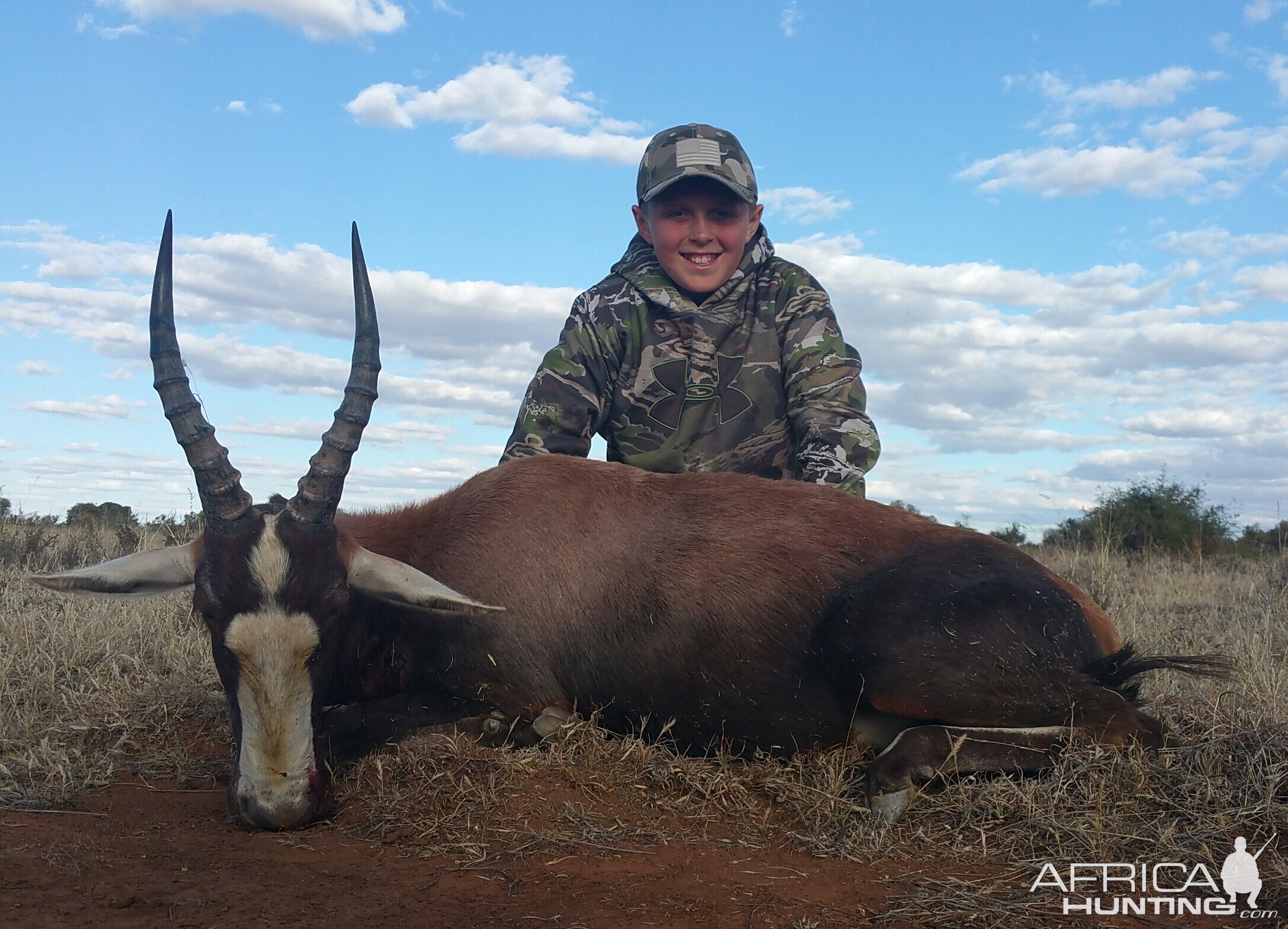 Wyatt's Blesbok with White Lion Safaris