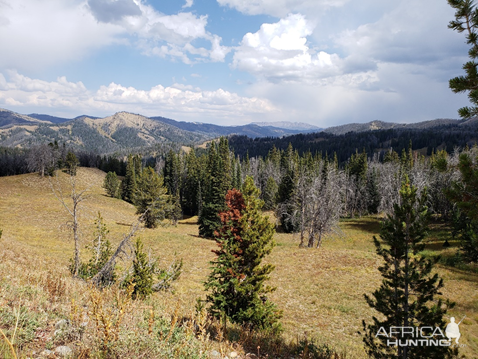 Wyoming Archery Elk Hunt 2018