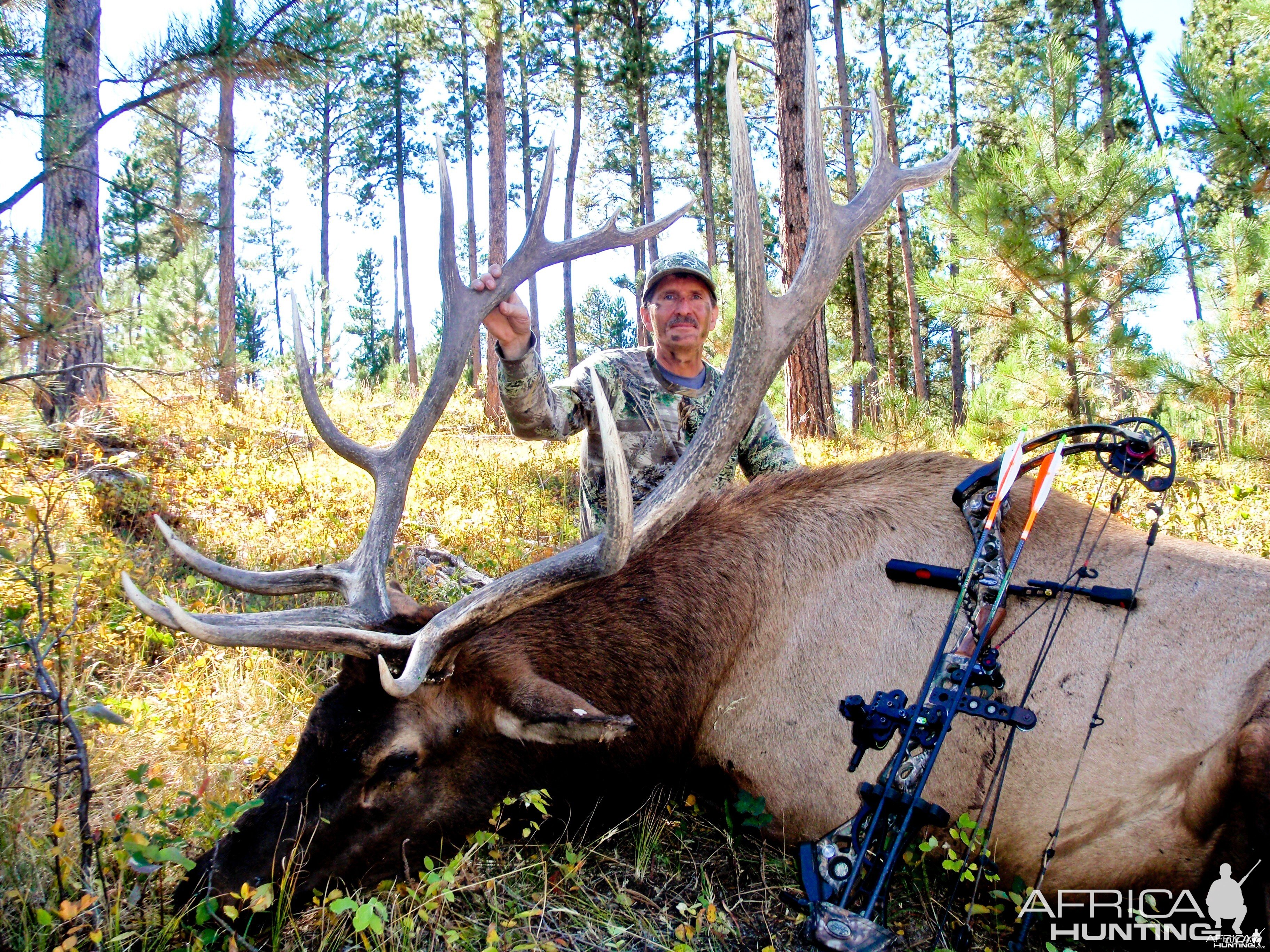 Wyoming Archery Elk