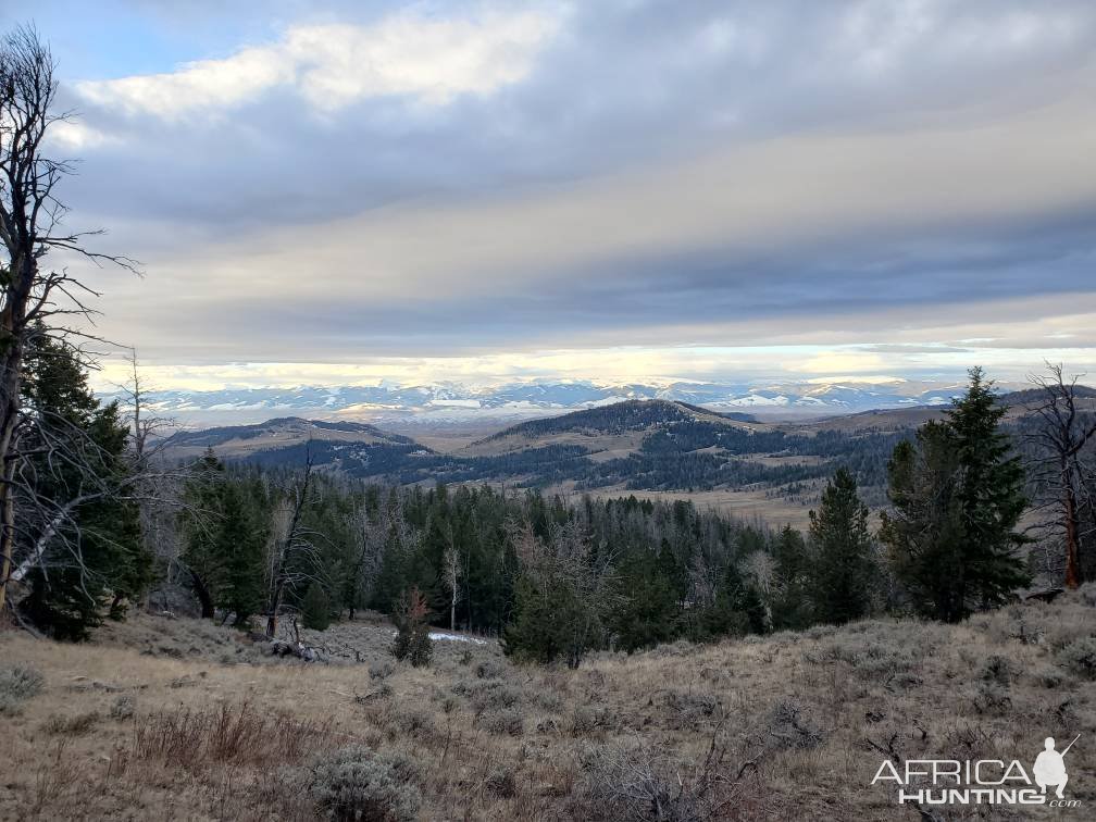 Wyoming Scenery