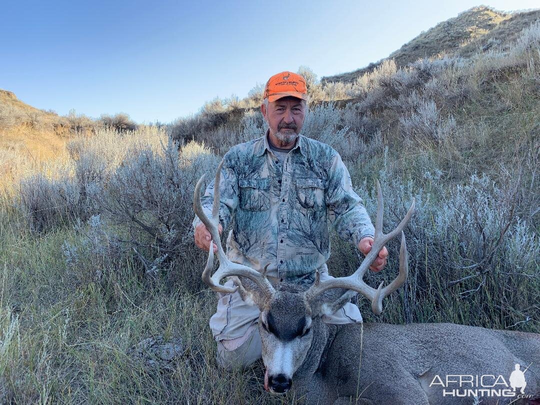 Wyoming USA Hunt Mule Deer