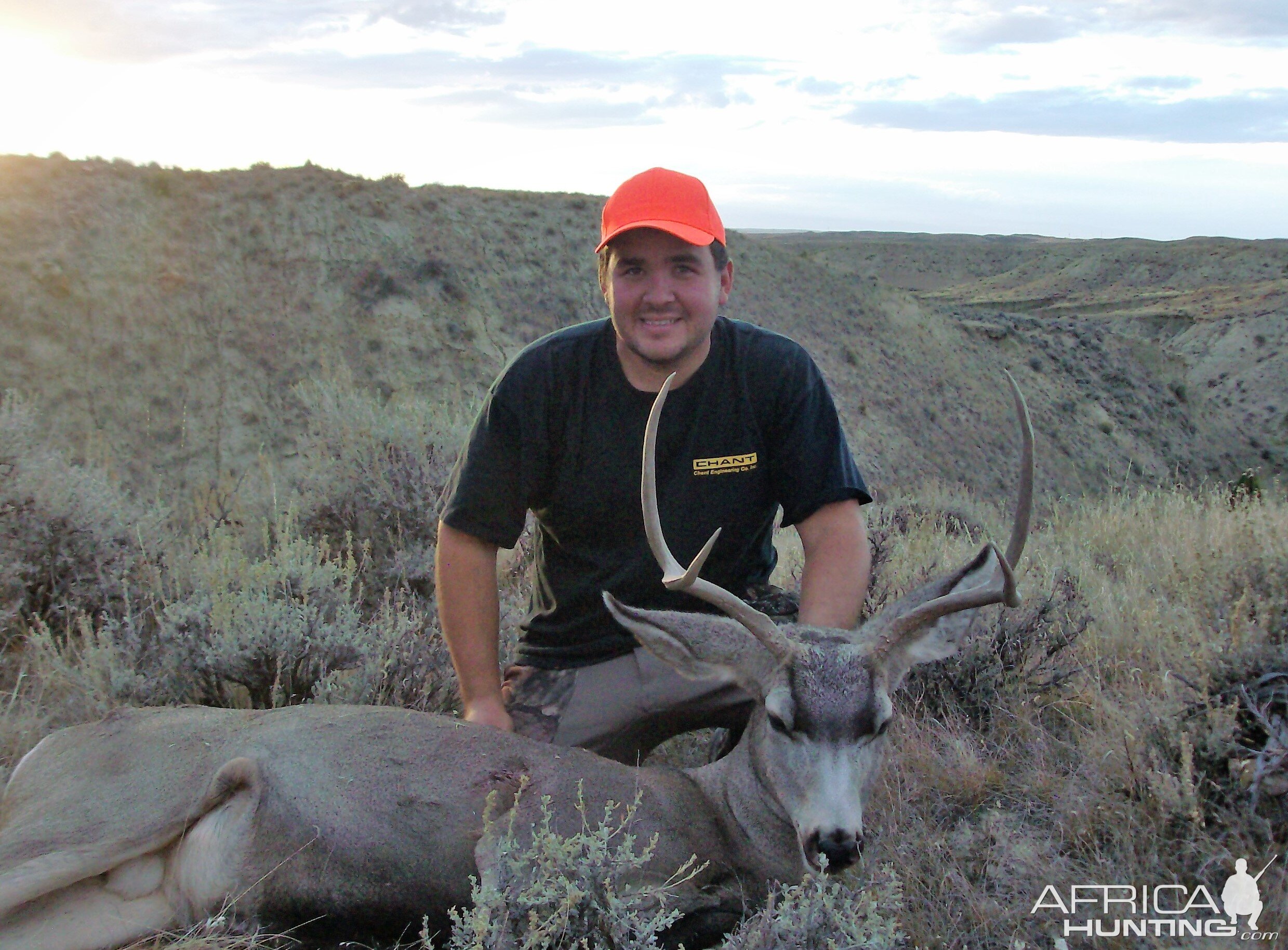 Wyoming USA Hunting Deer