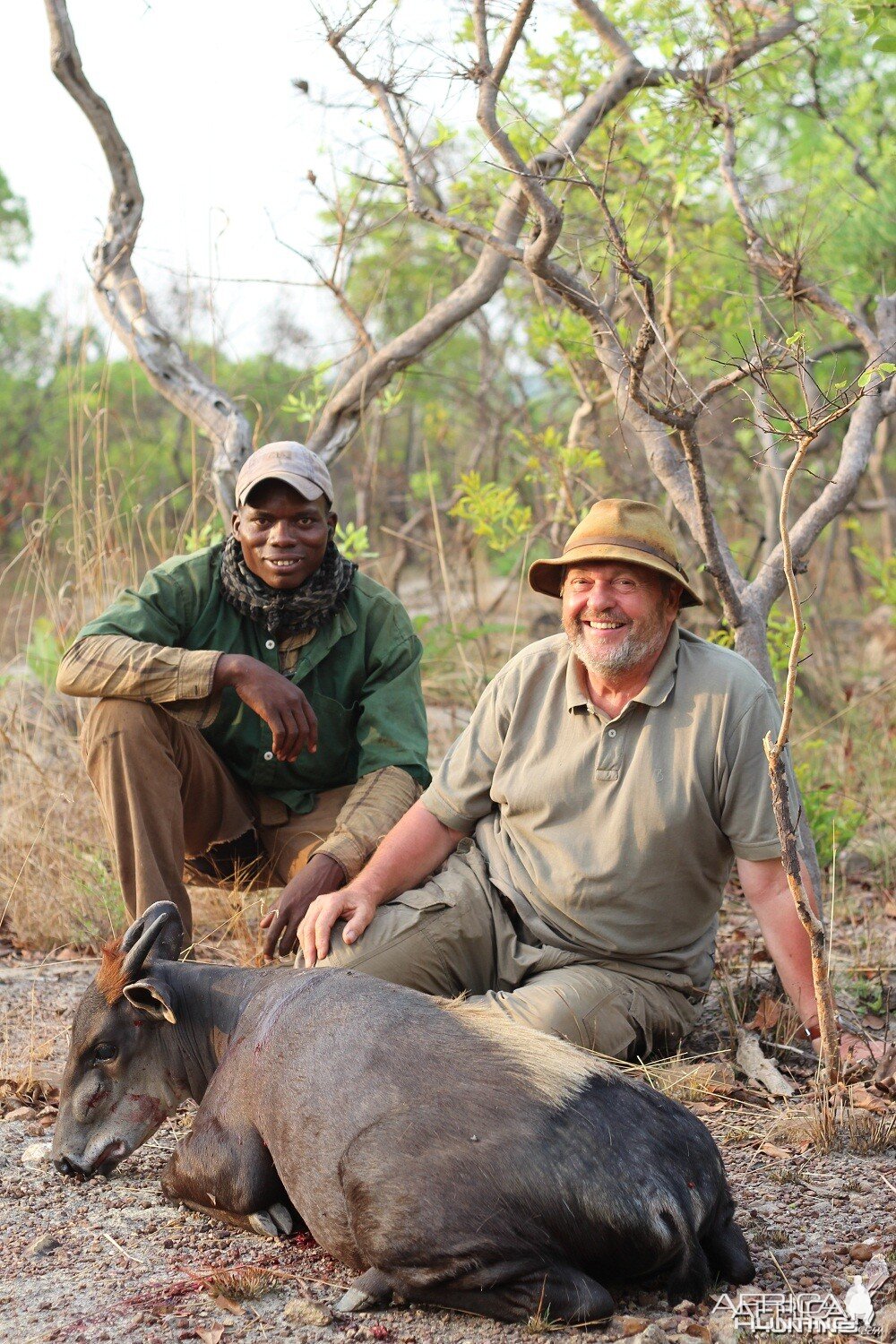 Yellow Back Duiker hunt with CAWA in CAR