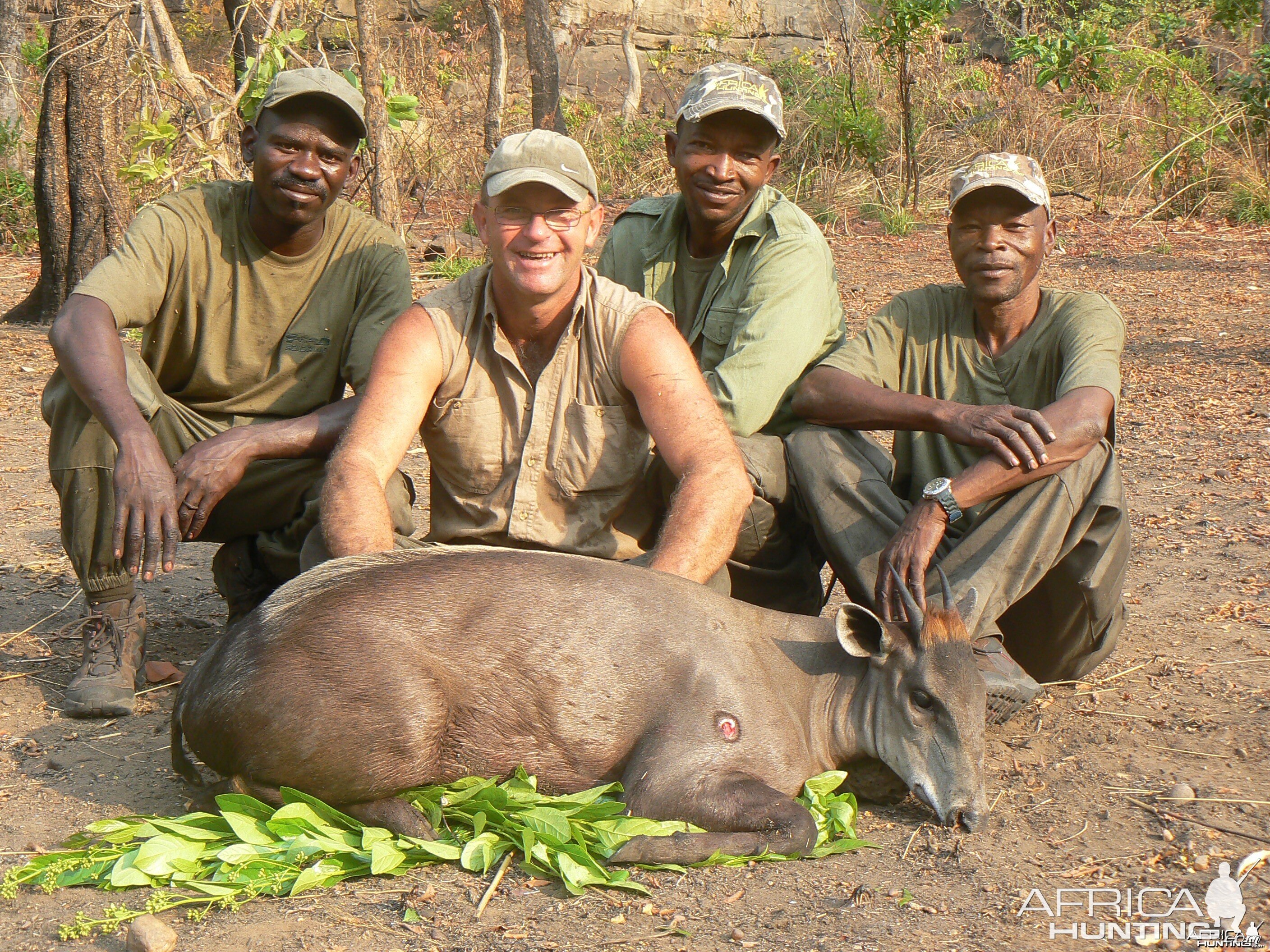 Yellow Backed Duiker, 68 kg, taken in CAR