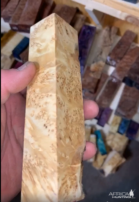 Yellow Cedar burl for making of Knife handles