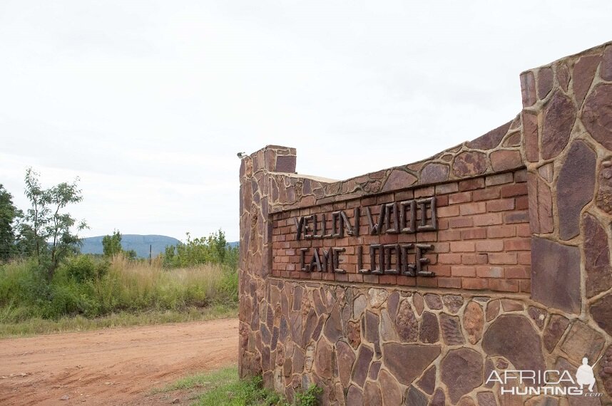 Yellow Wood Bush Camp Hunting Accommodation Pro Hunting Safaris