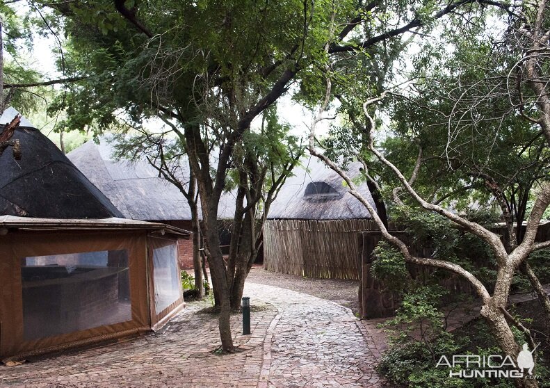 Yellow Wood Bush Camp Hunting Accommodation Pro Hunting Safaris