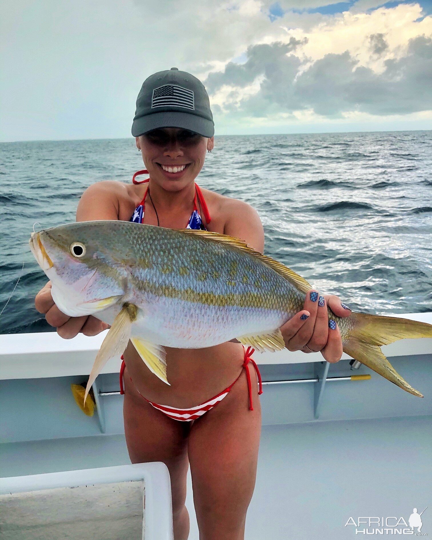 Yellowtail Snapper Fishing Florida Keys USA