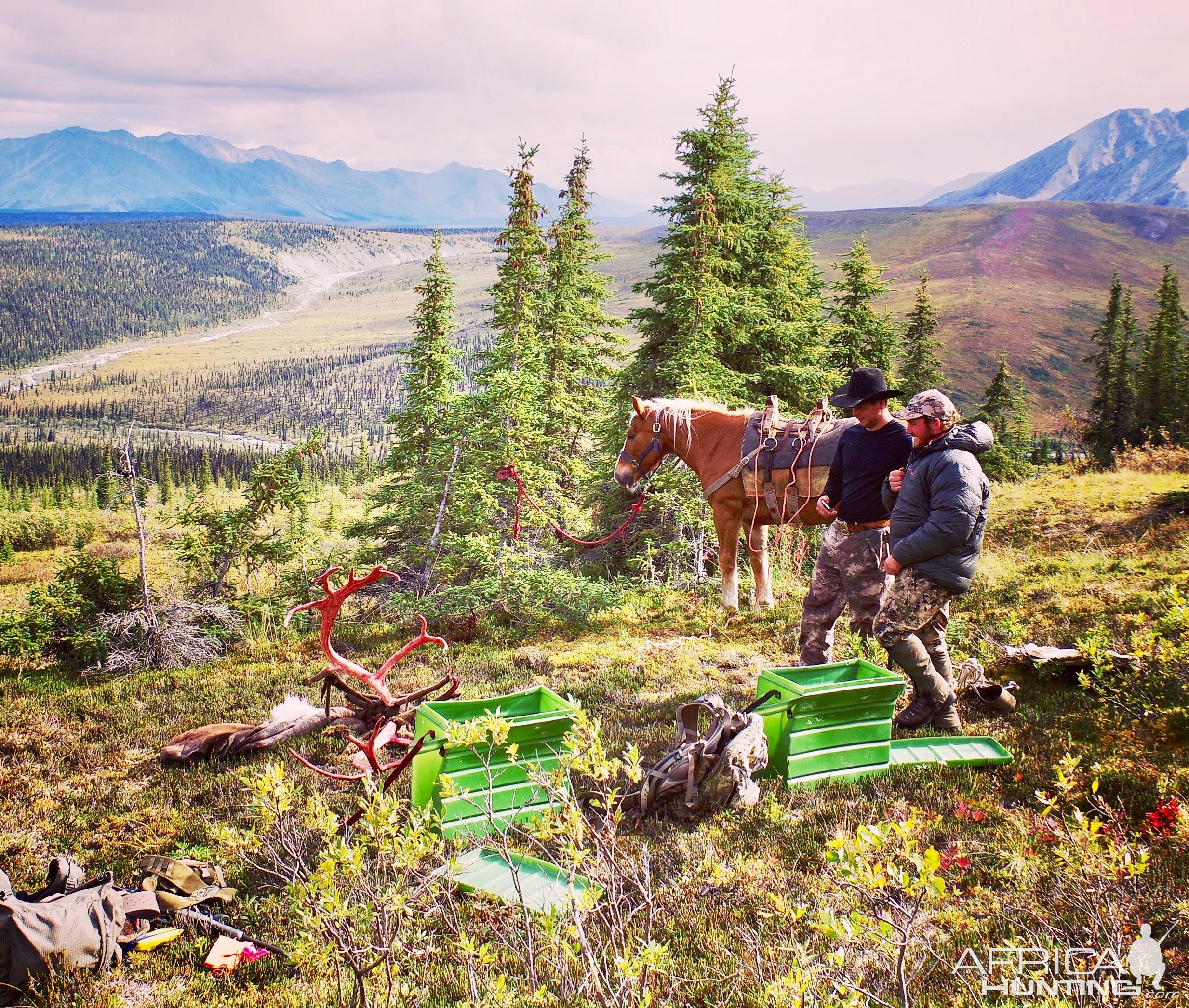 Yukon Caribou Hunting