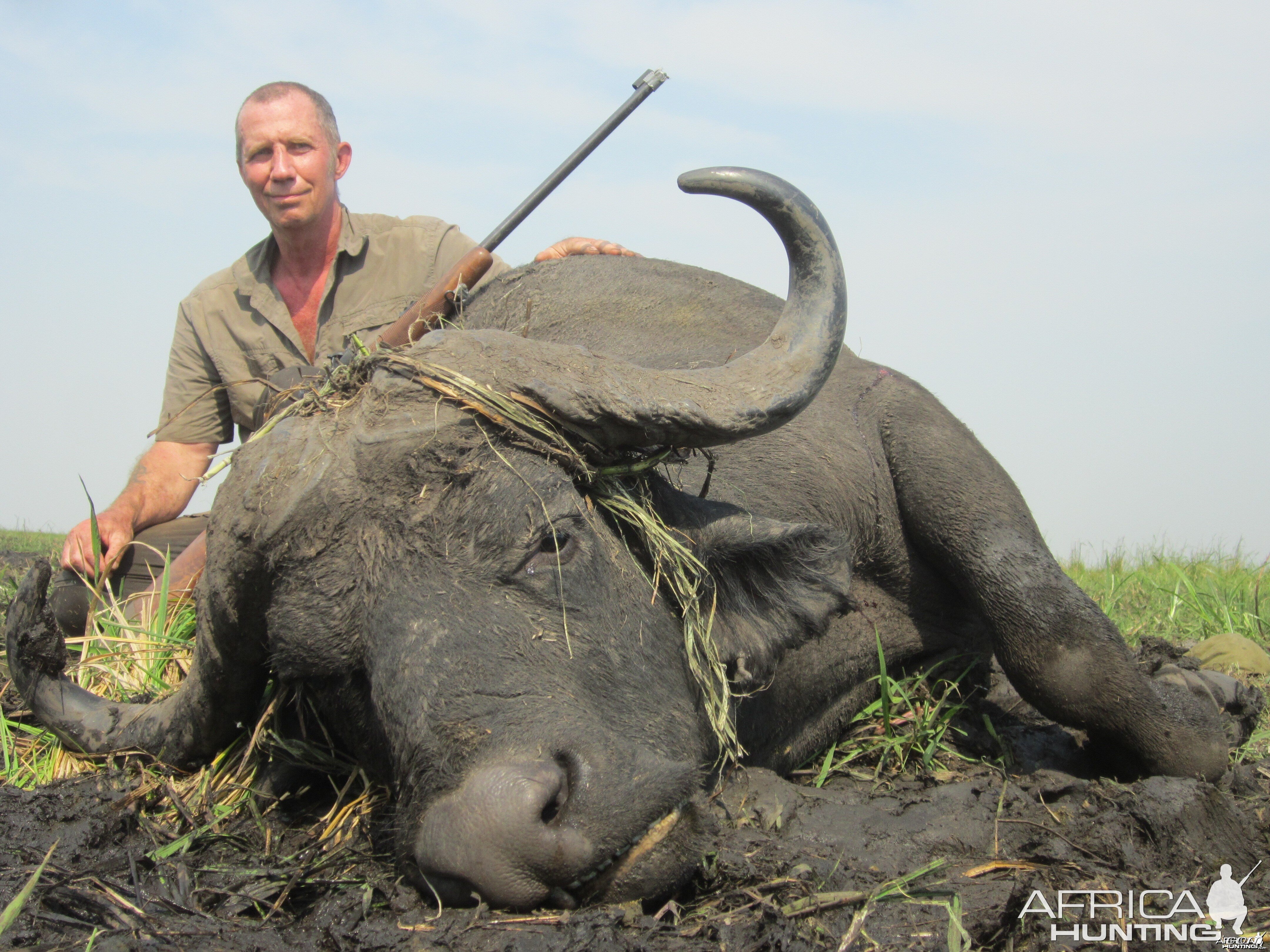 zambeze  delta buffalo